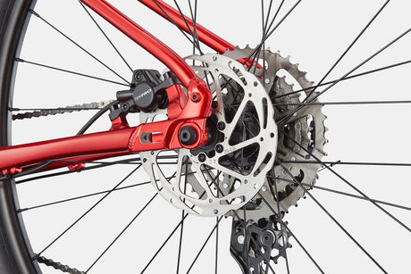 Cannondale Trail 2 - Maastopyörät - Punainen - XS - | Bikexpert