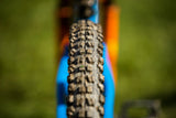 Maxxis Minion DHF, 3CG, EXO, TR, 29x2.5WT - MTB Renkaat - | Bikexpert