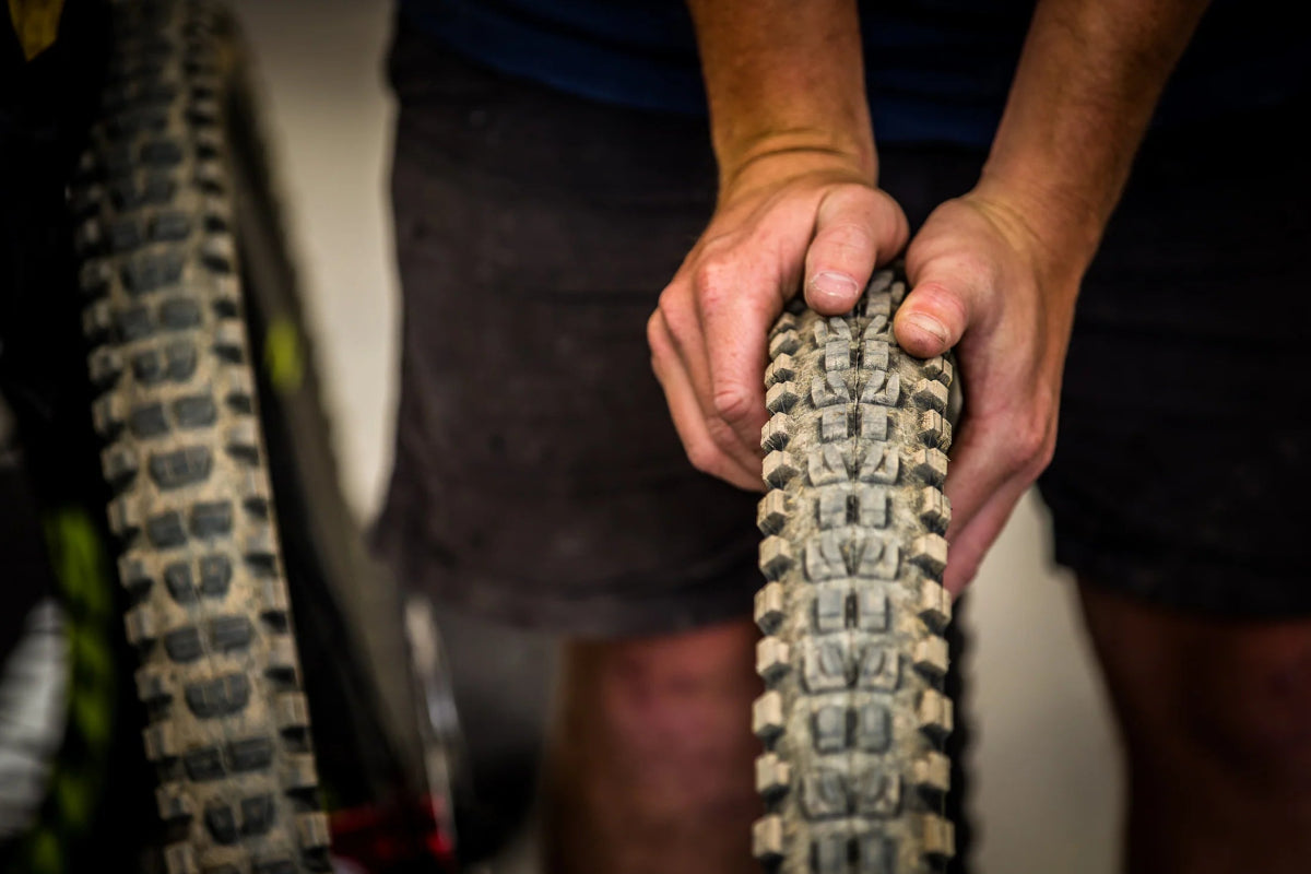 Maxxis Minion DHF, 3CG, EXO, TR, 29x2.5WT - MTB Renkaat - | Bikexpert