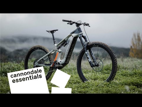 Cannondale Moterra LT 1