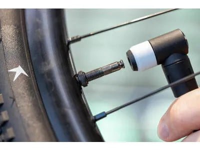 Schwalbe Clik Valve Core Kit - Sisärenkaat - | Bikexpert