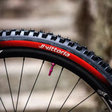 Vittoria Mazza Race - MTB Renkaat - 27.5" - 60 - 584 - | Bikexpert